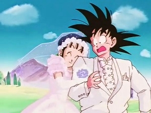 3 - episodio 153 il matrimonio tra Goku e Chichi (Dragon Ball)